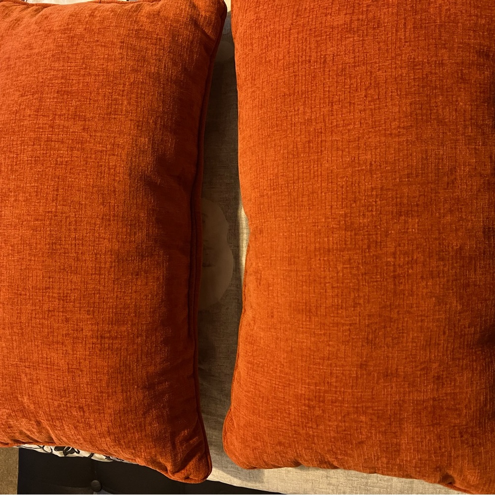 Set of Two Rectangular Pillows